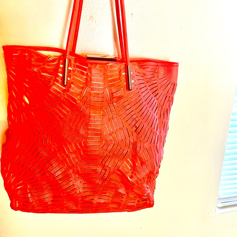 Alexander McQueen.gorgeous florescent razor bag!!!